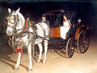 /album/bodas-y-15-a%c3%b1os/carro1-jpg/