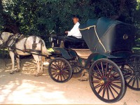 /album/bodas-y-15-a%c3%b1os/carro2-jpg/