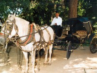 /album/bodas-y-15-a%c3%b1os/carro4-jpg/