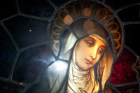 /album/galeria-de-imagenes/a-vitrox1-jpg/